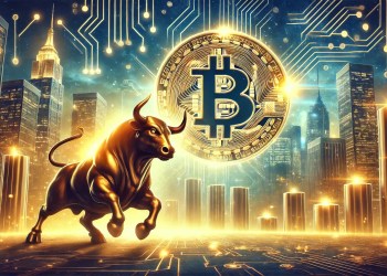 Bitcoin bull market