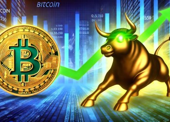 Bitcoin bull