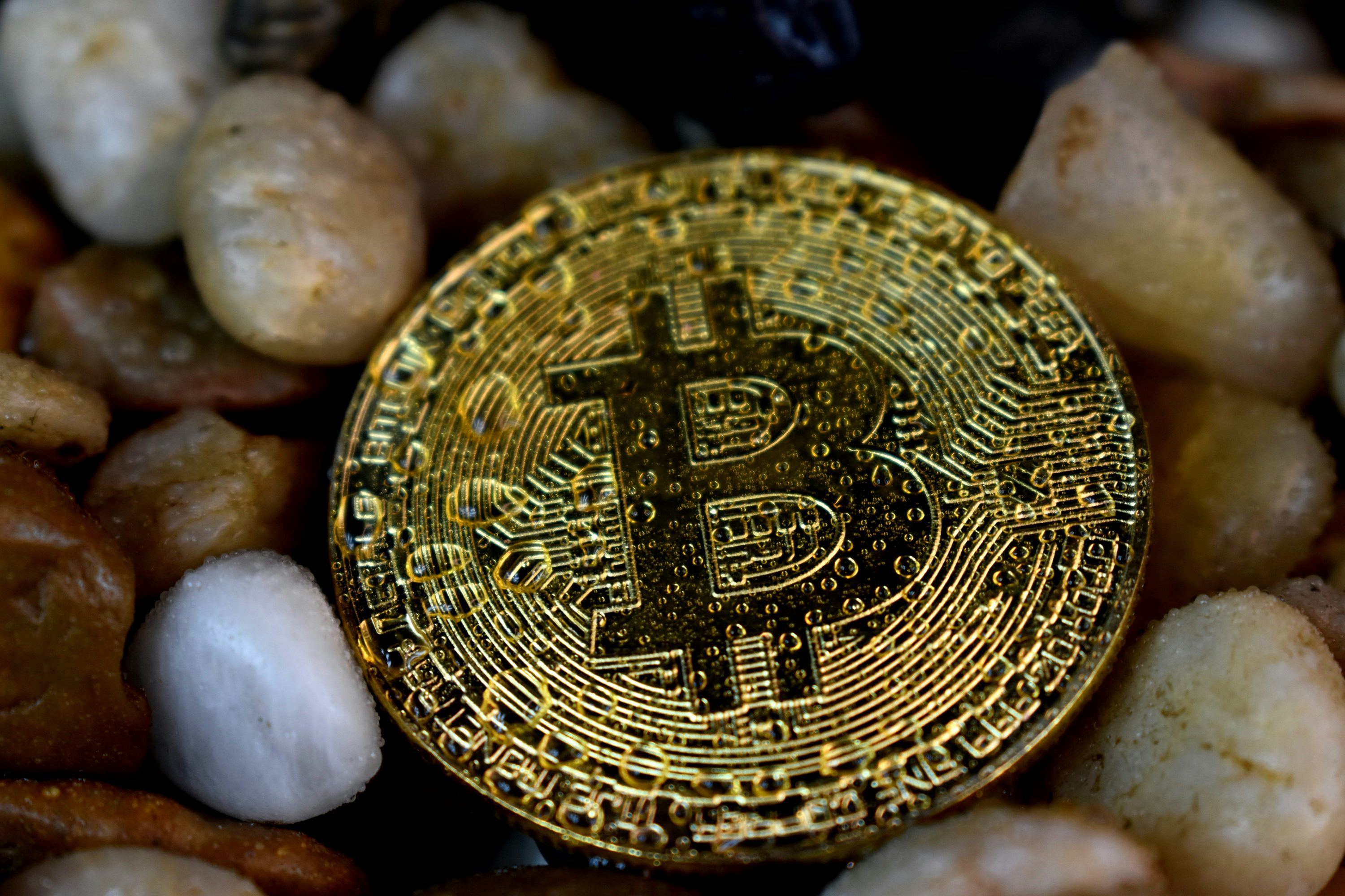Bitcoin Clears ,000: Can The Bulls Push BTC To Historic Heights? Bitcoin Clears ,000: Can The Bulls Push BTC To Historic Heights?