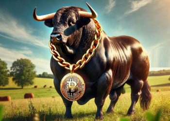 Bitcoin bull run