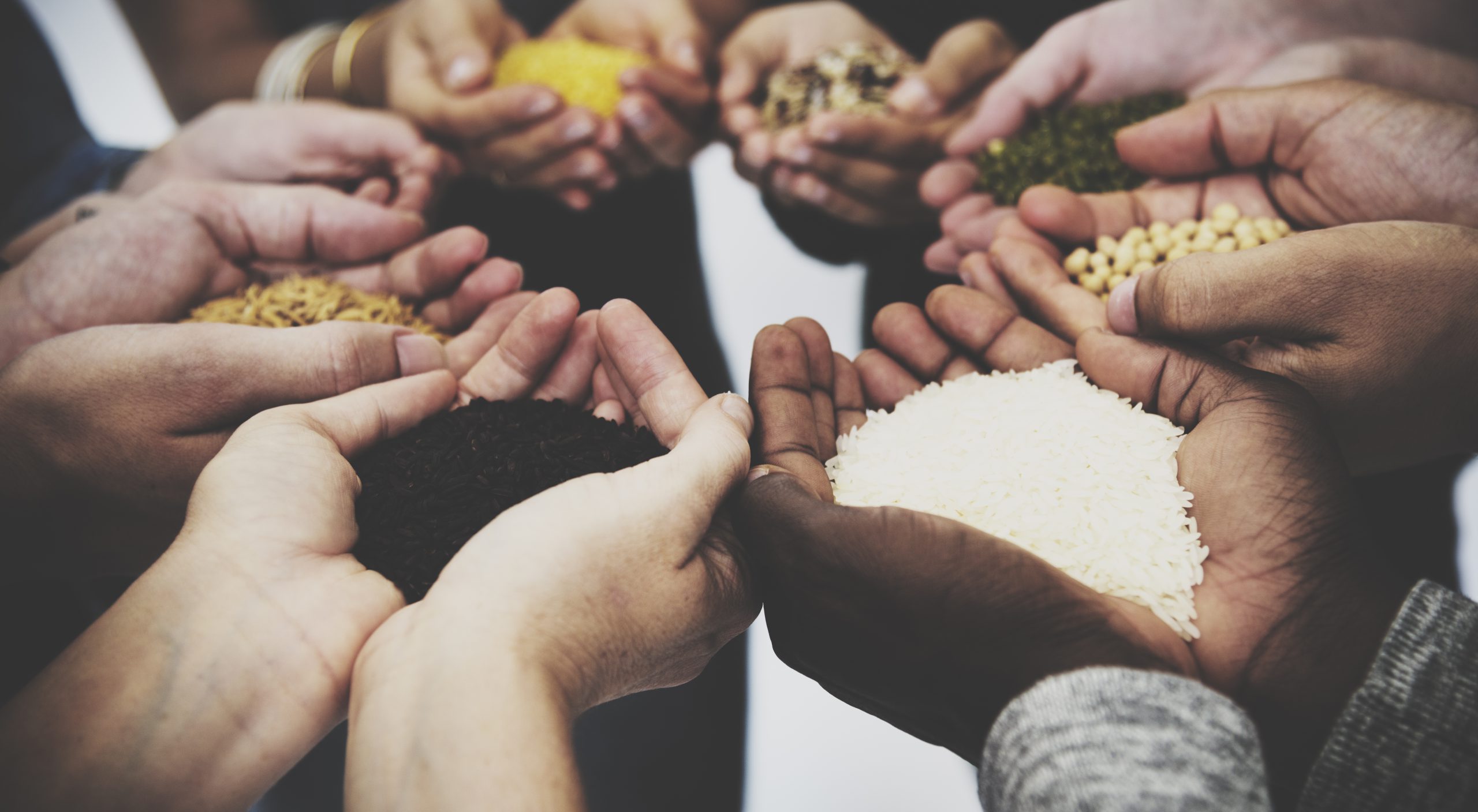 Top 5 Cryptocurrency Cloud Mining Sites for Free Bitcoin Mining in