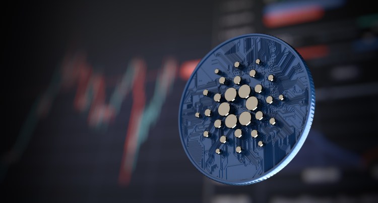 Cardano news