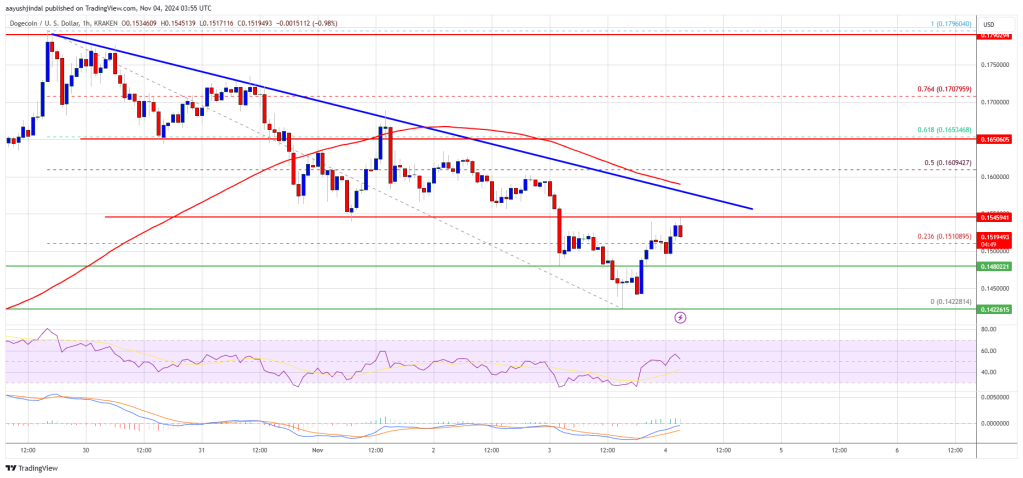 Dogecoin (DOGE) Poised for a Move: Will It Start a Fresh Increase?