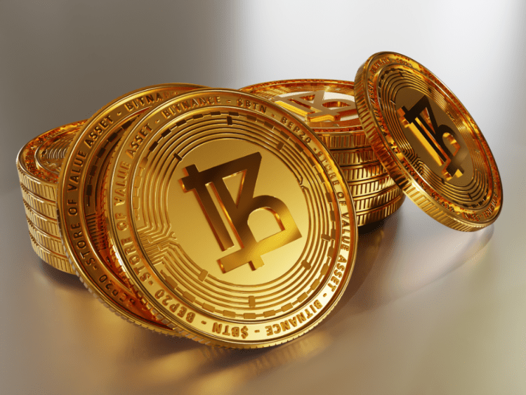 Investors have purchased over 100,000 of Binance-Chains new store-of-value cryptocurrency, Bitnance (BTN)