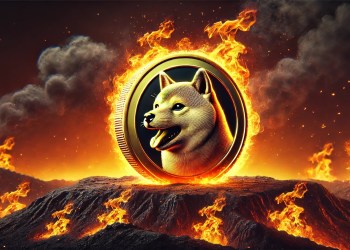 Shiba Inu burn