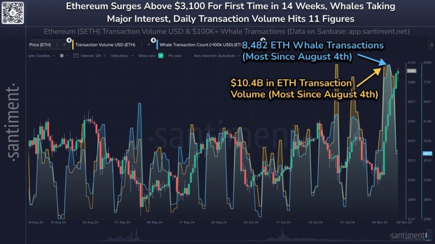 Ethereum Whale Transactions Spike – High Volume Supports Surge To $3,200