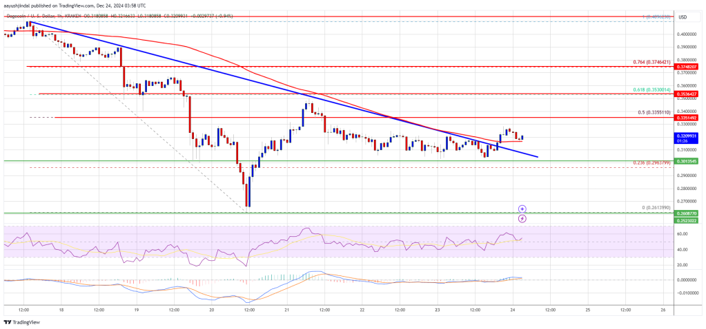 Dogecoin price 