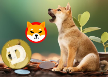 Shiba Inu vs. Dogecoin: Why This $0.001 Polygon Token Is the One to Watch