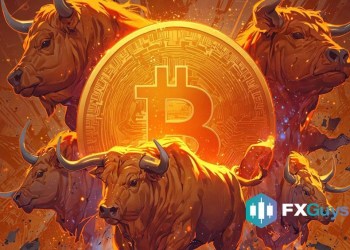 Invest To Win The Bull Run – Here Are Few Coins For A Balanced Crypto Portfolio
