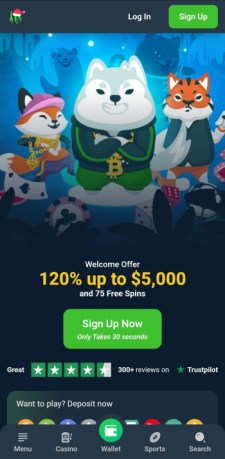 wild.io homepage