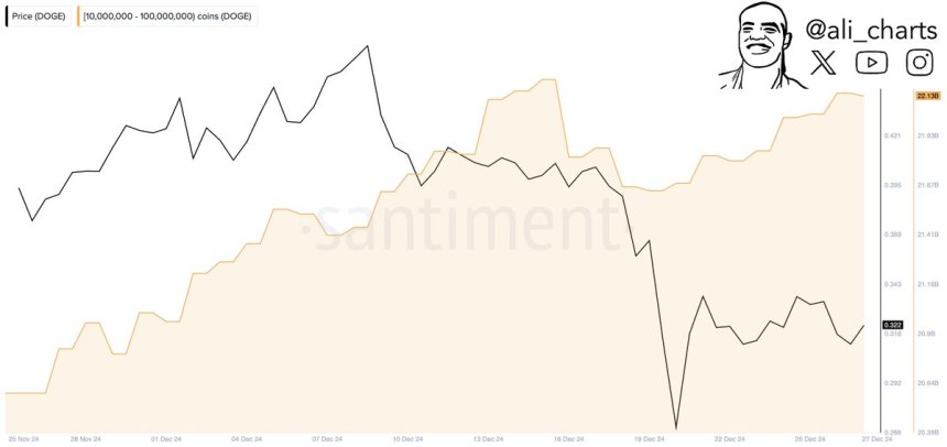 Dogecoin Whale accumulation taking place