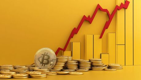 Cryptos en chute