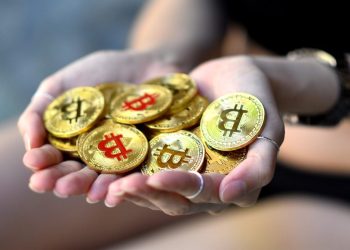 8 US States Propose a Bitcoin Reserve Before Trump's Inauguration, Bullish for New Crypto in 2025?