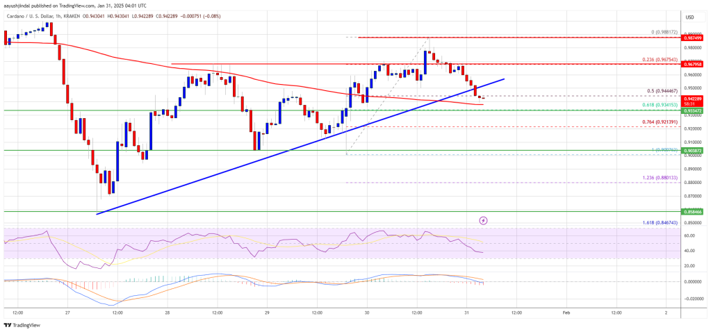 Cardano Price