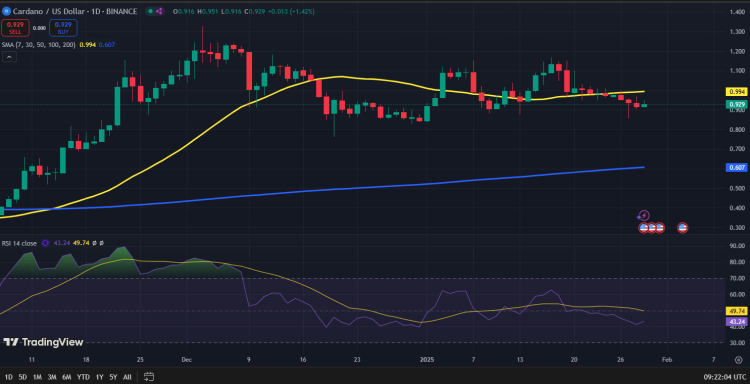 Cardano koers grafiek