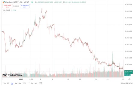 Catslap on TradingView