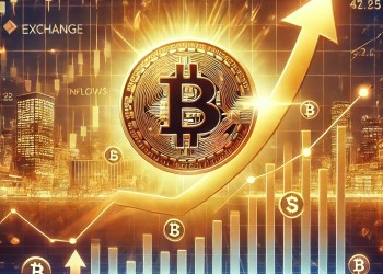 Rising Bitcoin Prices Defy Exchange Inflows: What Investors Need to Know