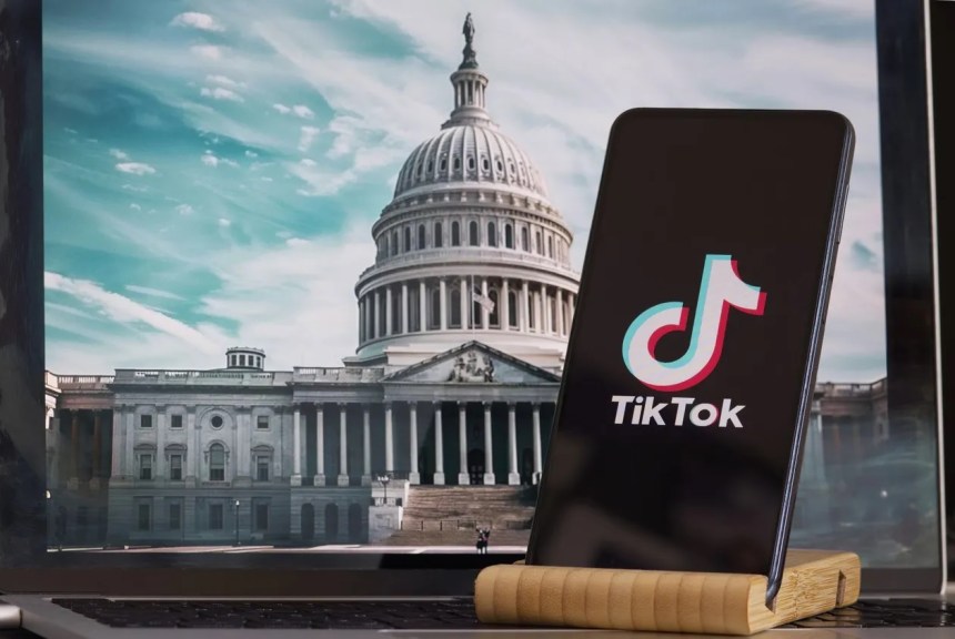 Elon Musk et TikTok Un impact potentiel sur les memecoins