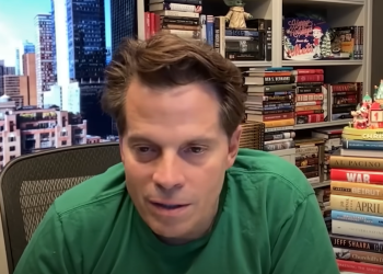 Anthony Scaramucci crypto to altcoins to buy 2025