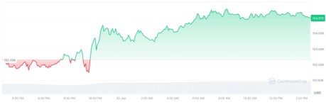 Bitcoin performance chart