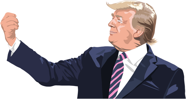 Siegerpose Donald Trump