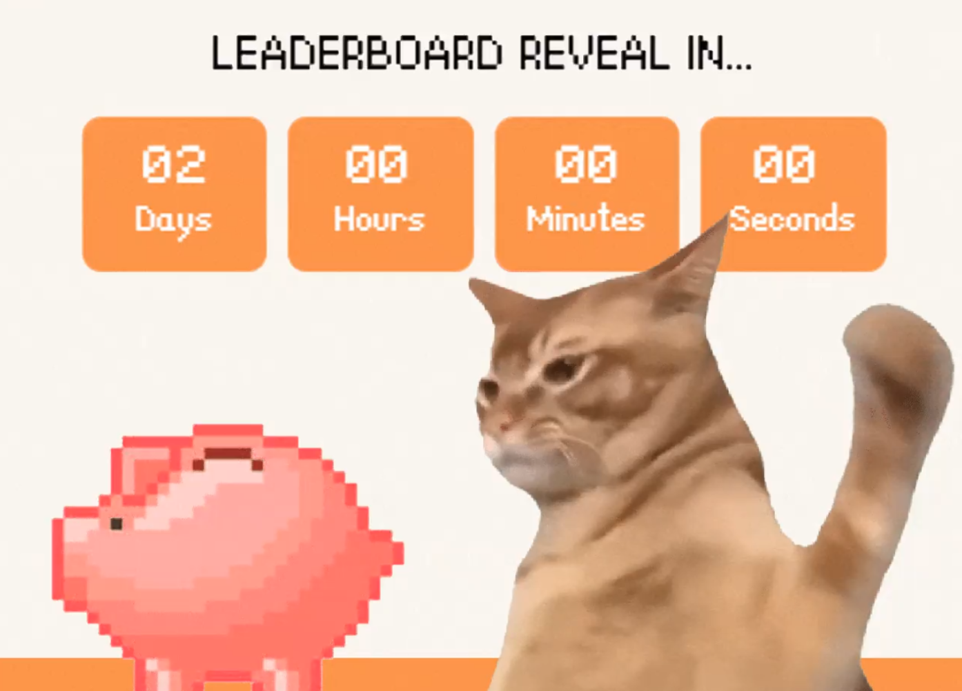 Catslap $100k leaderboard reveal