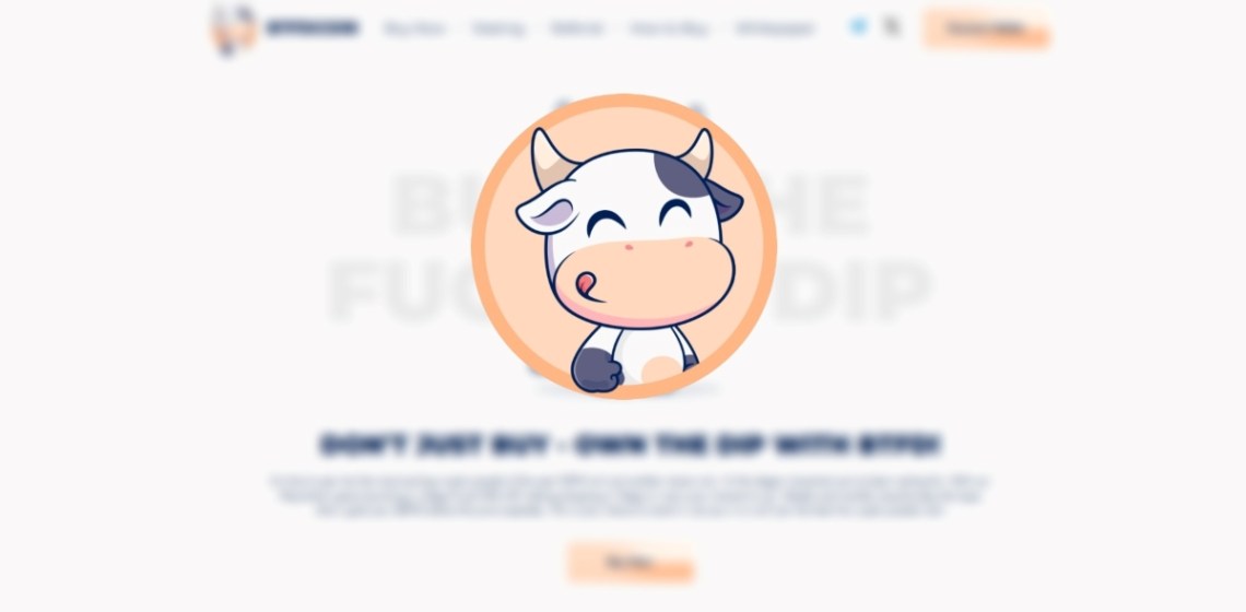 BTFDコインの価格予測と購入方法を徹底解説
