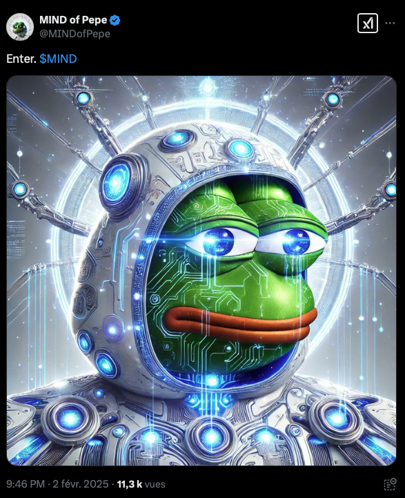 Tweet de MIND of Pepe