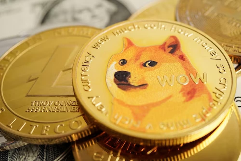 Dogecoin - (DOGE)