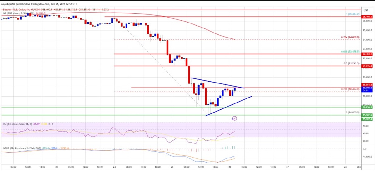Giá Bitcoin lao dốc mạnh