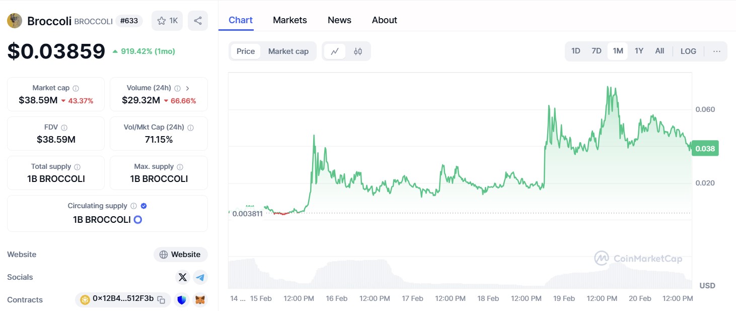 Broccoli ($BROCCOLI)