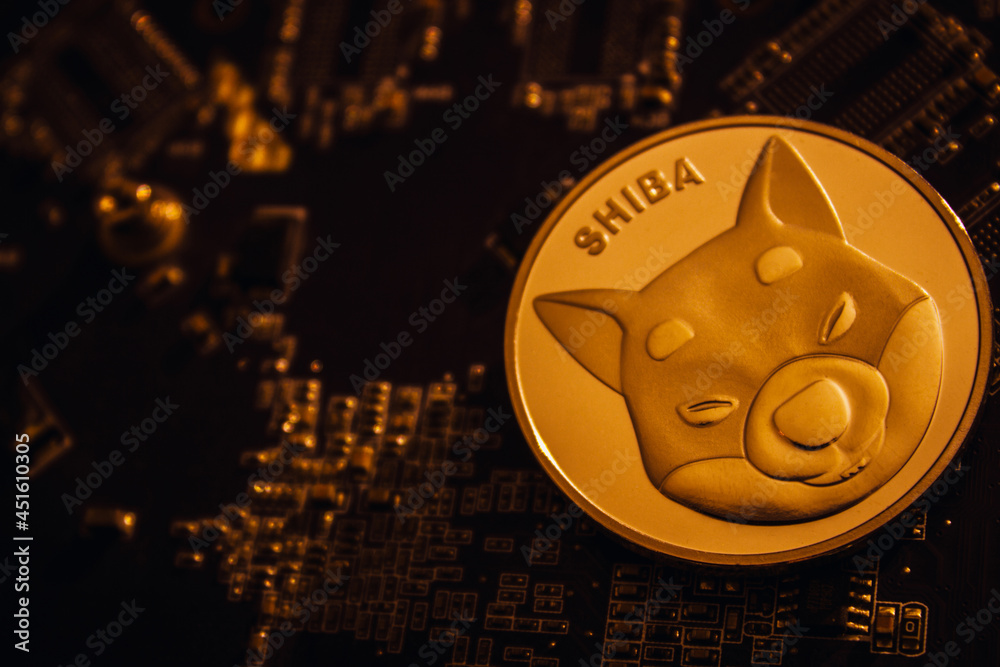 Shiba Inu Millionaire Numbers Fall Below 1,000 After Market Crash, How Much Do They Control? Shiba Inu Millionaire Numbers Fall Below 1,000 After Market Crash, How Much Do They Control?