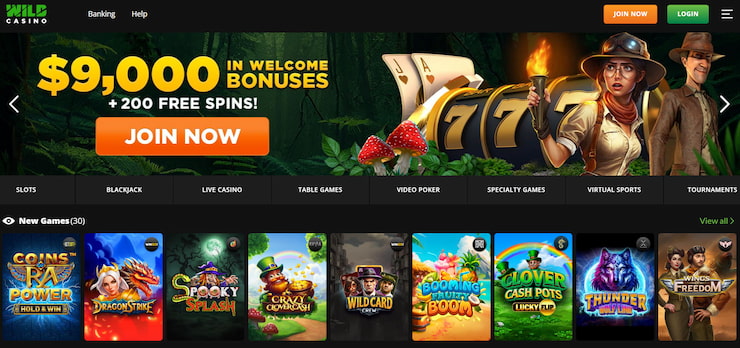 Home page of Wild Casino as the number-one best payout casino. 