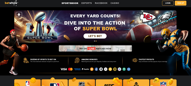 betwhale sportsbook markets and promo
