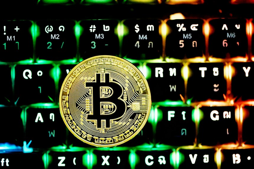 bitcoin crypto expert