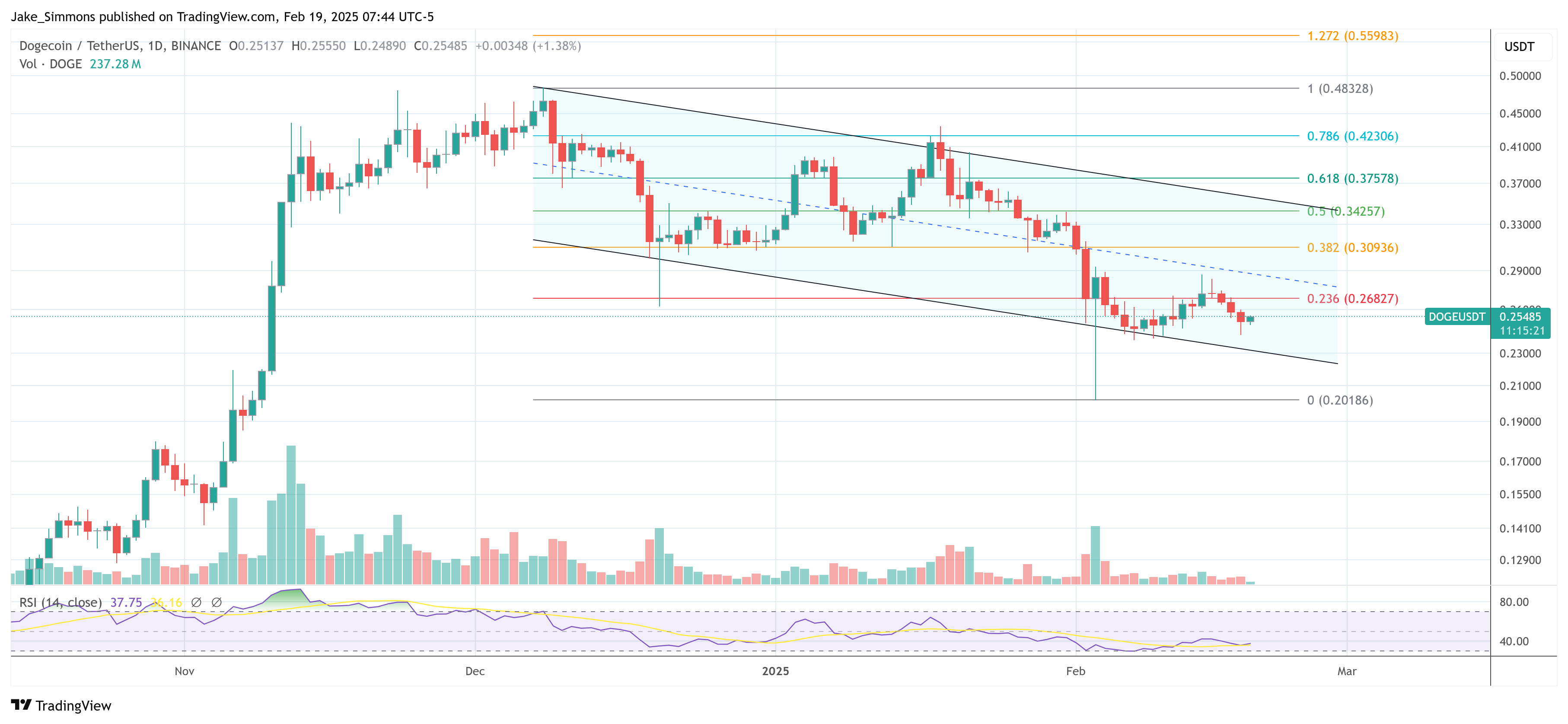 dogecoinの激動の飛行