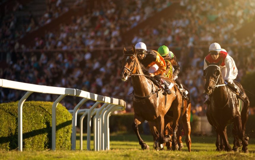 المراهنة على سباقات الخيل