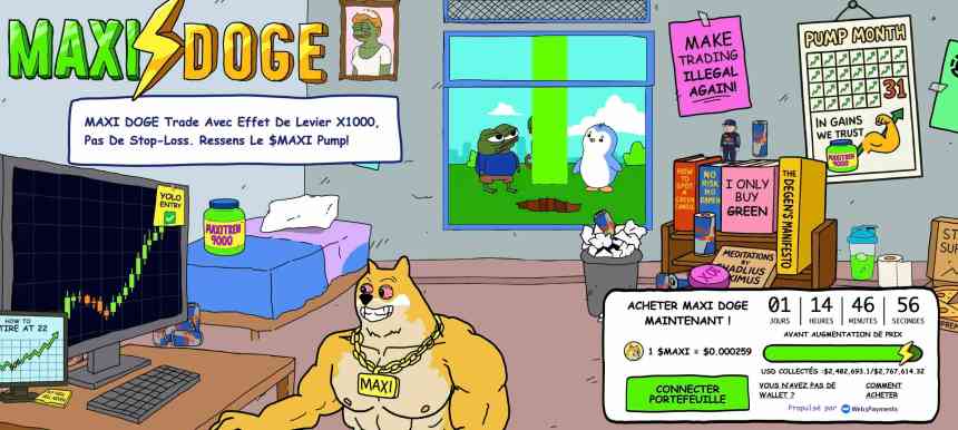 maxi-doge