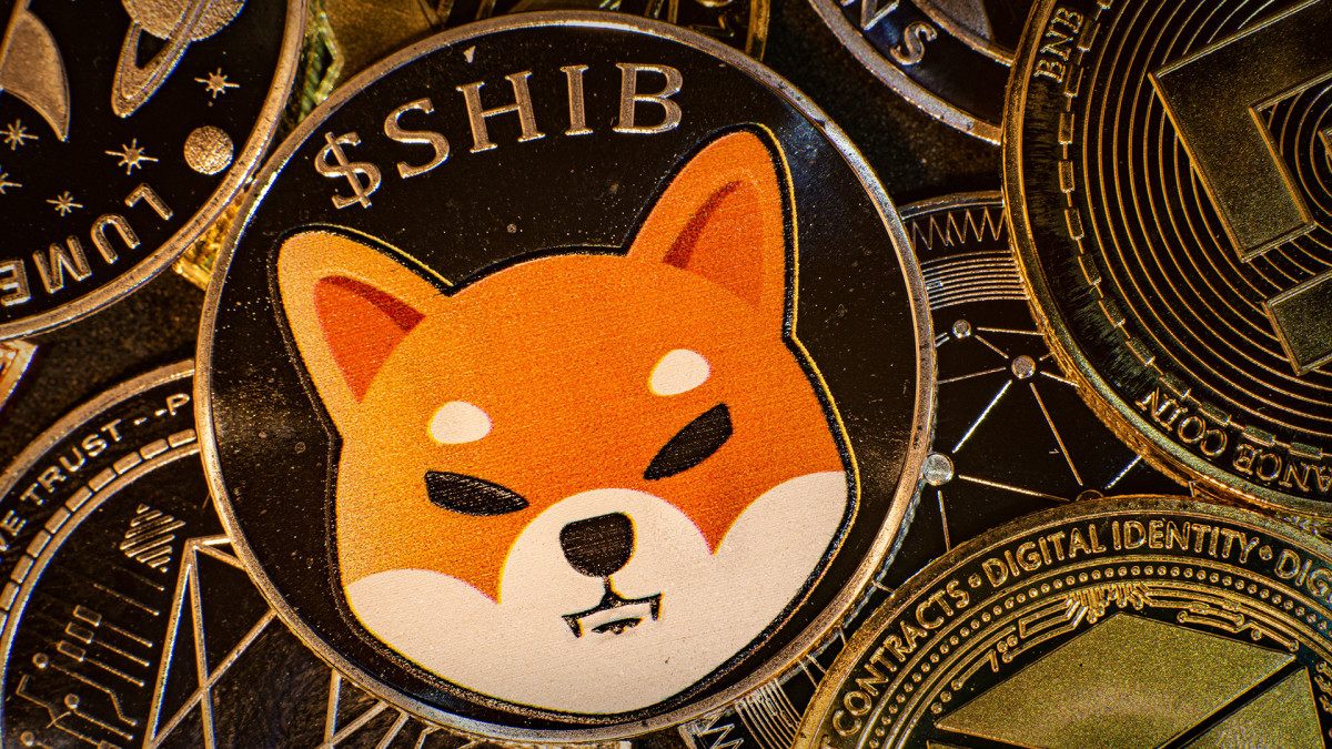Shiba Inu koers verwachting: whale activiteit crasht 79% – wat gaat SHIB doen?