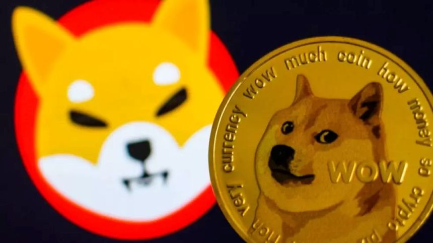 Predicción de Shiba Inu