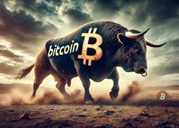 Bitcoin bull run is over news