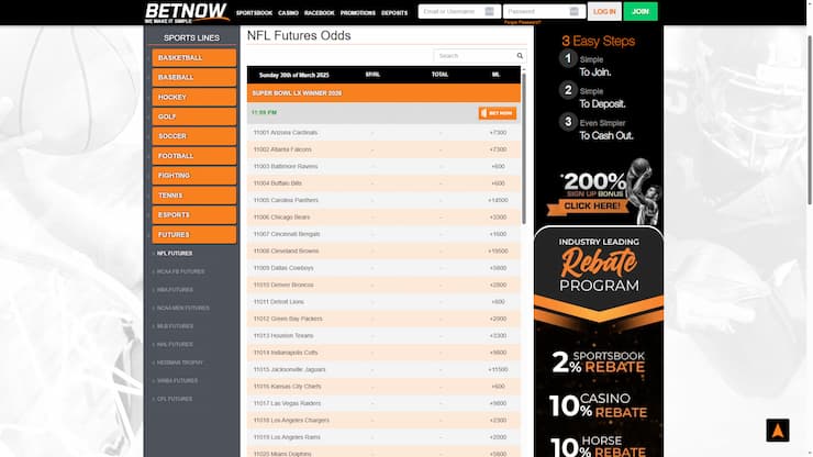 BetNow NFL Futures Odds