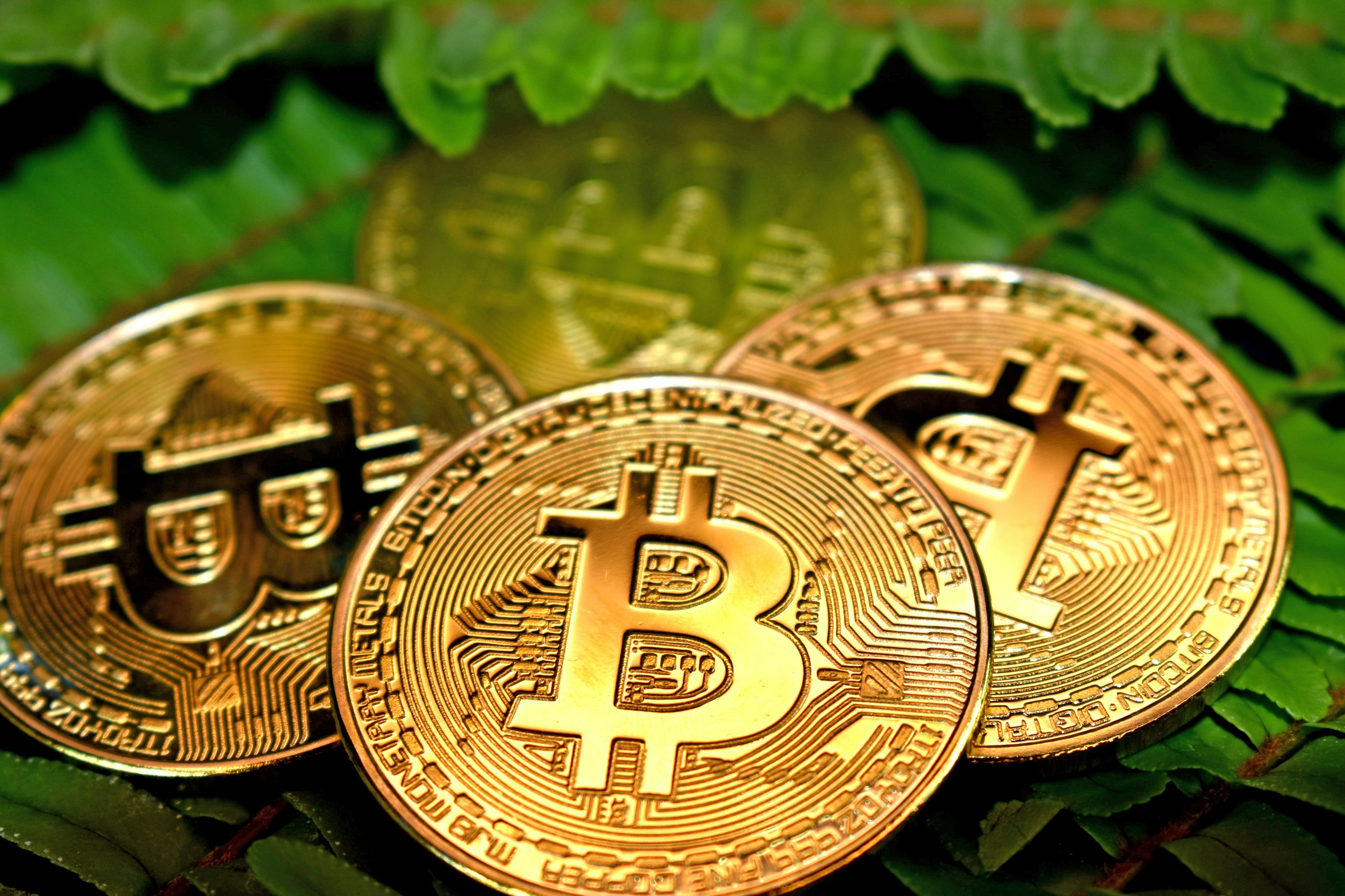 Bitcoin Price Set For Reversal To 0,000 After Forming Major Cup And Handle Support Bitcoin Price Set For Reversal To 0,000 After Forming Major Cup And Handle Support