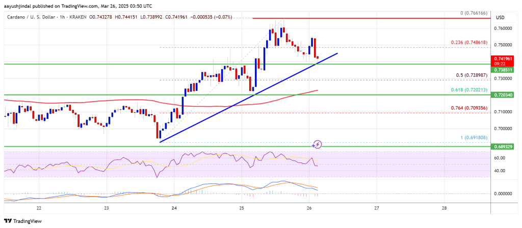 Cardano Price