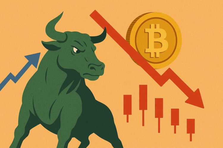Are the Bulls Still in Control? Bitcoin Faces Pressure After Massive Long Position Wipeout