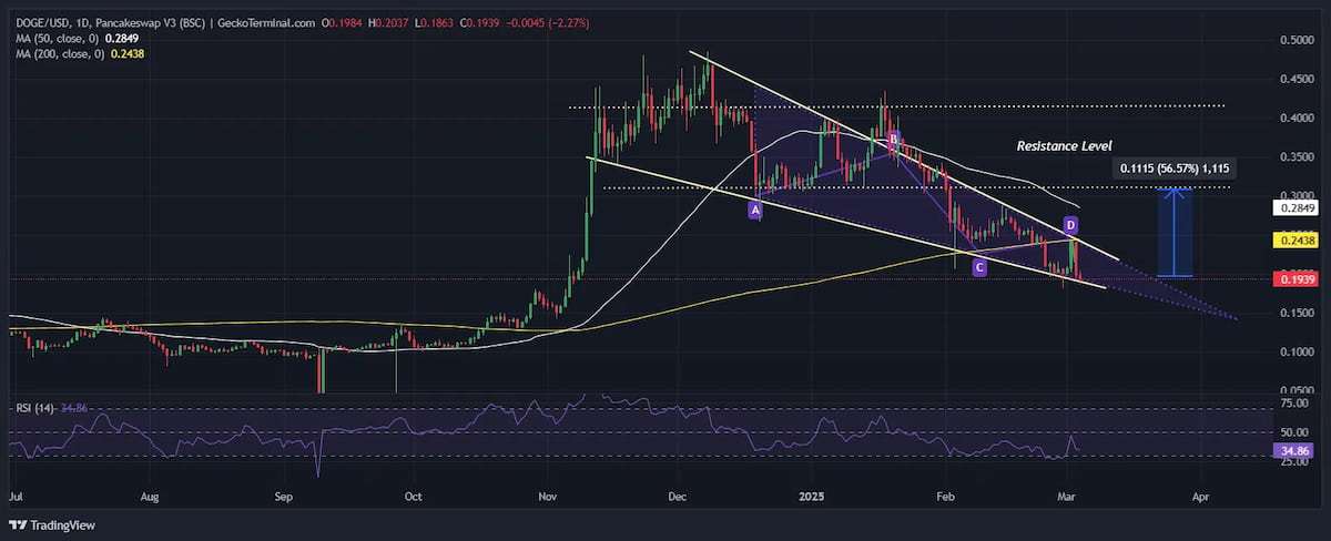 Doge Coin