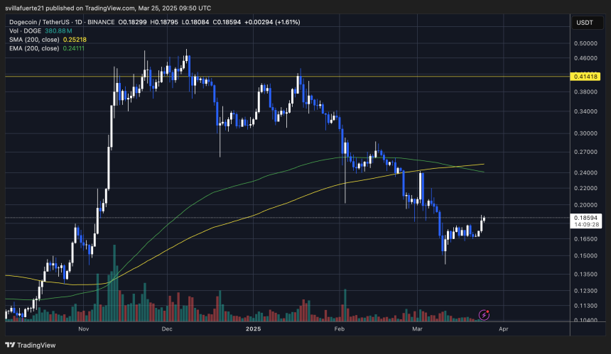  DOGEUSDT chart on TradingView