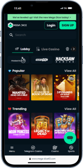 Mega Dice casino