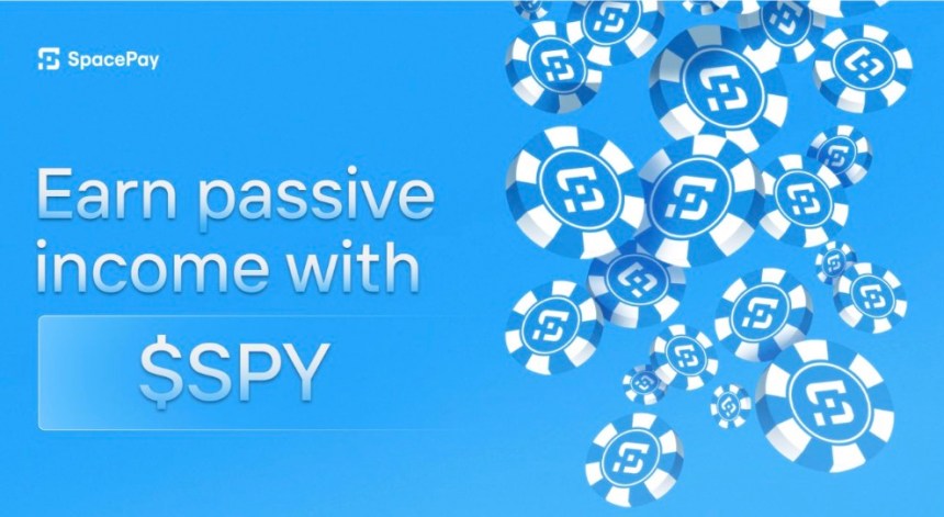 Participating in the SpacePay Presale