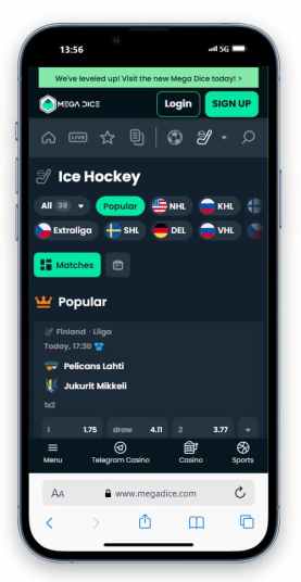Mega Dice's ice hockey betting page.